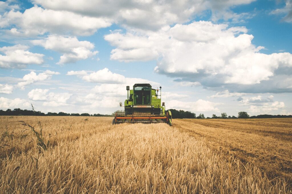 agriculture, cereal, clouds-1866896.jpg